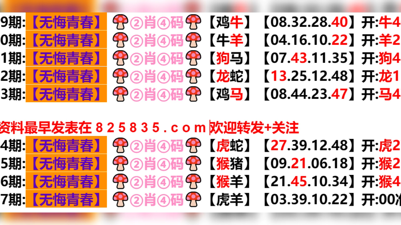 2024年新奥门天天开彩,适用性计划实施_VR49.53