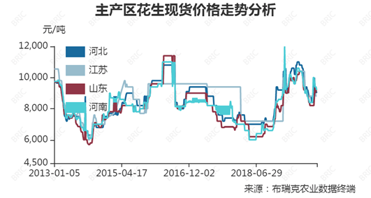 今日花生行情最新走势解析