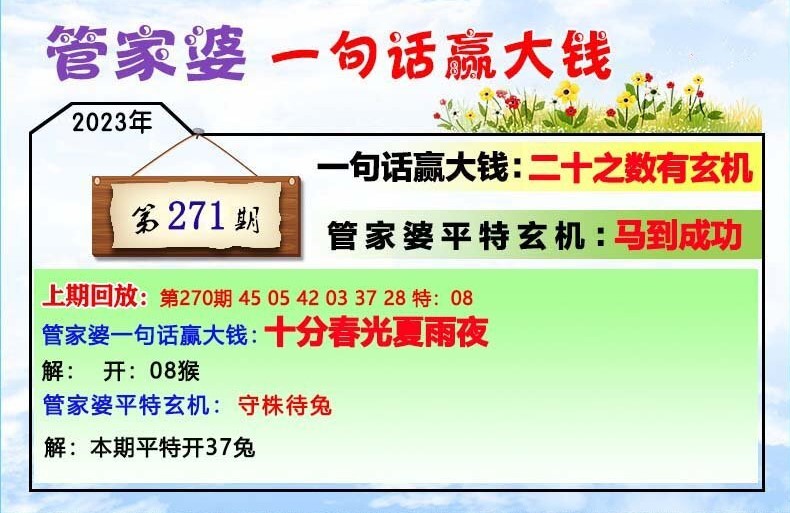 管家婆的资料一肖中特985期,最佳精选解释落实_创意版11.145