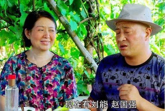 乡村爱情10，下载中的温情与喜悦之旅