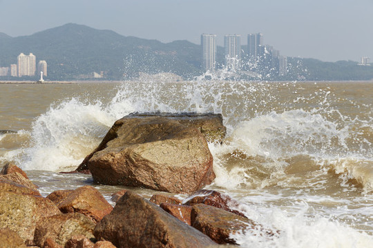 千层浪最新动态，前沿科技引领未来潮流探索