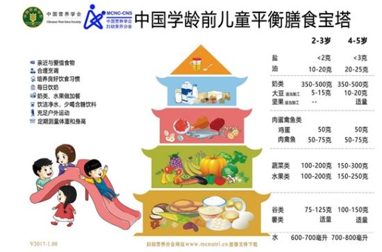 最新营养膳食建议，构建健康生活的核心要素