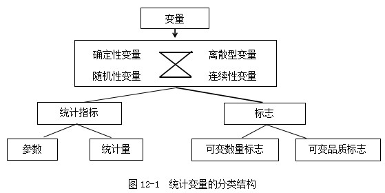 澳门一肖一特100精准免费,统计分析解释定义_运动版70.980