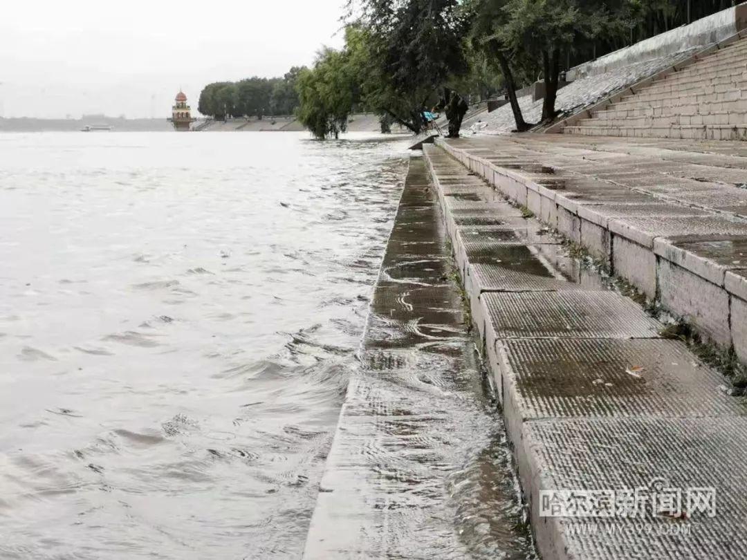 松花江最新水位报告更新，实时水位信息揭秘