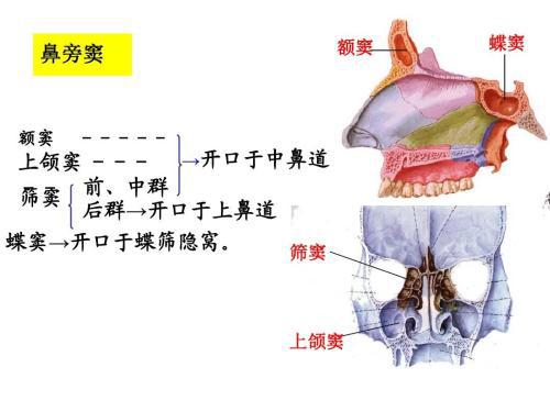 6149老钱庄,动态词语解释定义_CT72.689