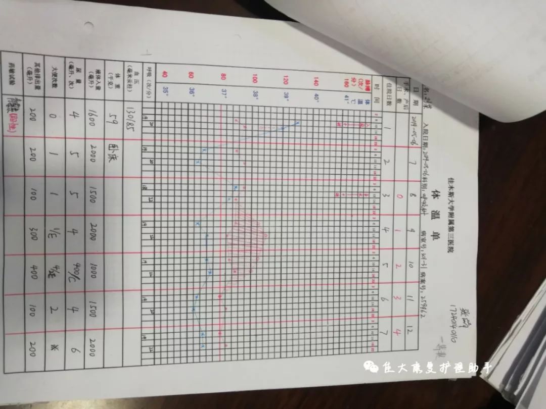 最新体温单，医疗护理的新视角探索