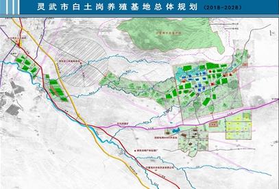 最新肉牛产业研究与发展趋势分析概览