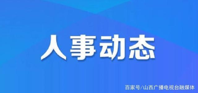 松木材村最新人事任命及未来展望动态